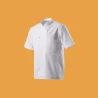 Vestes